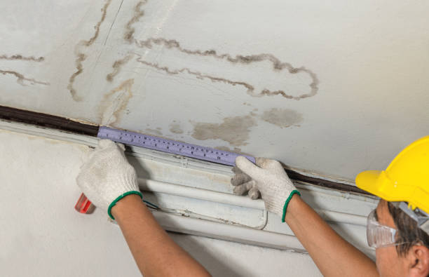Reliable Water Damage contractor in Benson, UT by Water Damage Irwin